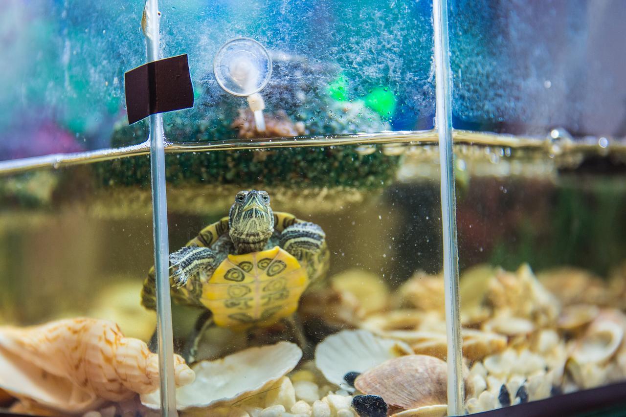 Mini Hotel Venezia Atyraū エクステリア 写真